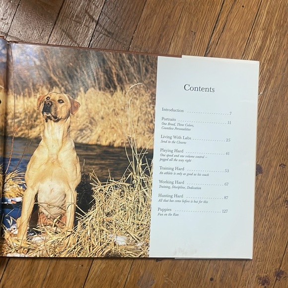 1995 Just Labs vintage hardcover book - Picture 8 of 17